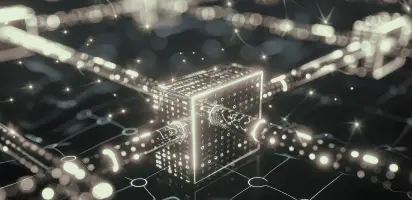 决策者群体